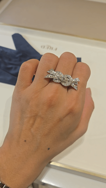 프레드 포스텐을 잇는 신상 공개｜샹스 인피니 컬렉션 리뷰