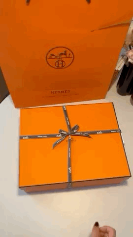 Hermès Impulse Sneakers