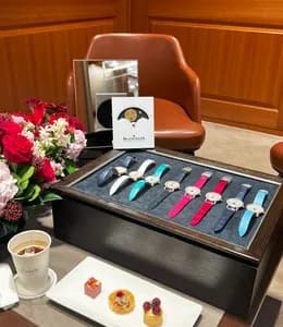 블랑팡 레이디버드 & 한정판 컬렉션 실착 후기