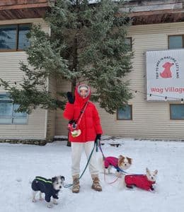 강아지 동반 가능한 용평스키장, 겨울 여행지 추천