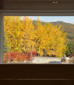 불가리 전시회 후기와 삼청동 가을 데이트 장소 추천