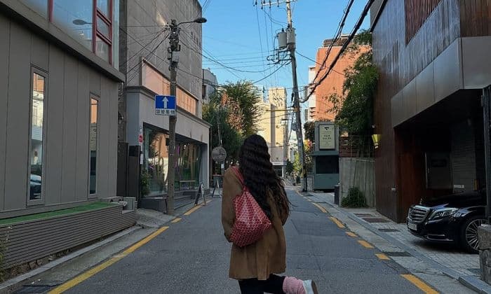 고야드 보헴, 미니 앙주, 생루이까지 셀럽들의 착용 후기