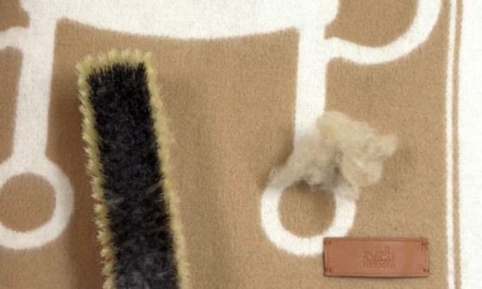 캐시미어 머플러 관리 꿀팁｜보풀 제거 후기