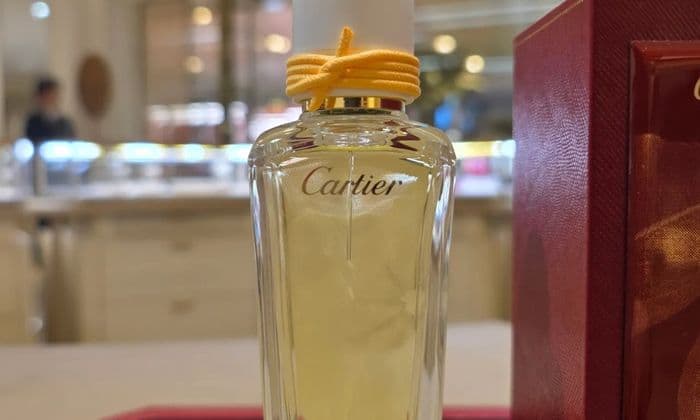 까르띠에 향수 라인업 총정리｜시향 후기 (푸르 낑깡 추천)