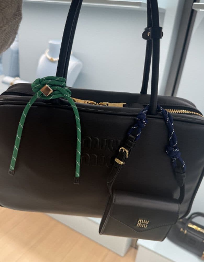 Miu Miu bag