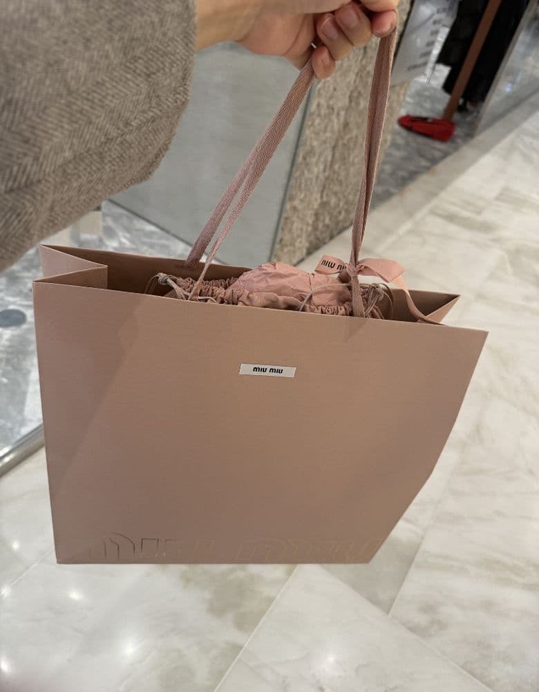 Miu Miu bag
