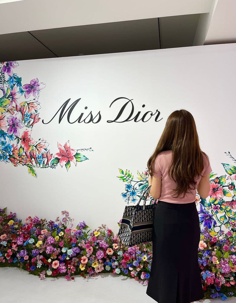 Dior Book Tote Medium Oblique (compared to the Small)