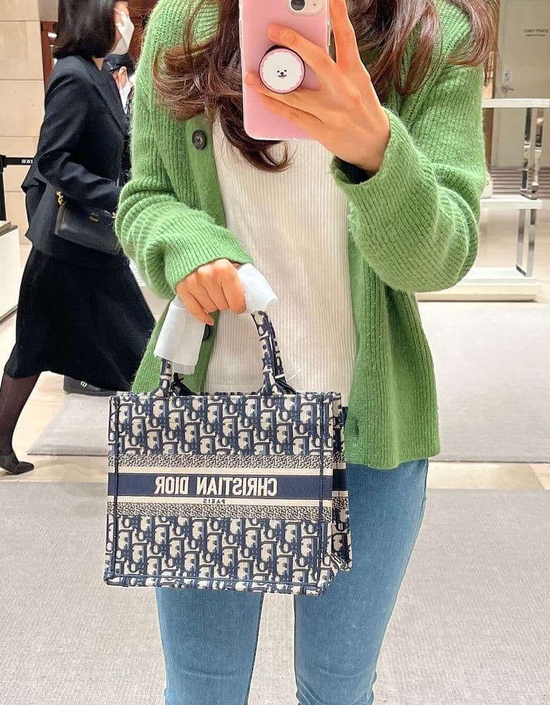 Dior Book Tote Medium Oblique (compared to the Small)