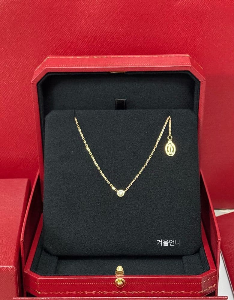 I bought a Cartier d'Amour necklace as my first necklace.