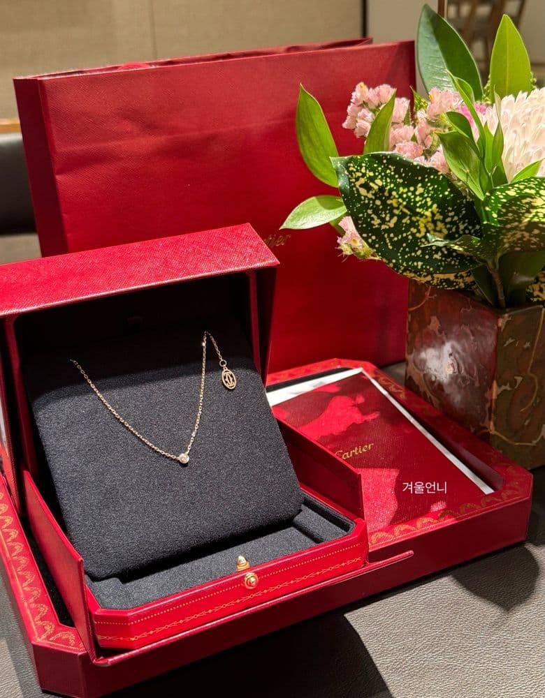 I bought a Cartier d'Amour necklace as my first necklace.