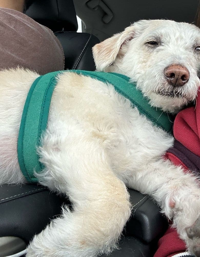 Cartier... another price increase, I see. 🙄