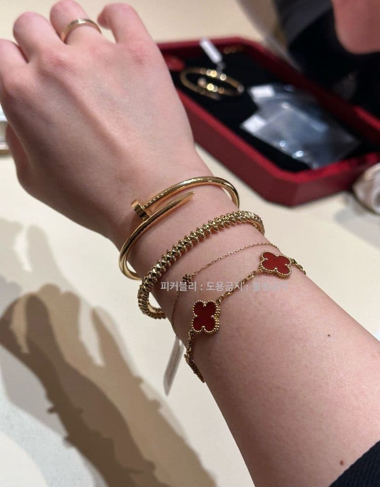 까르띠에 착샷 모음 최최종.jpg