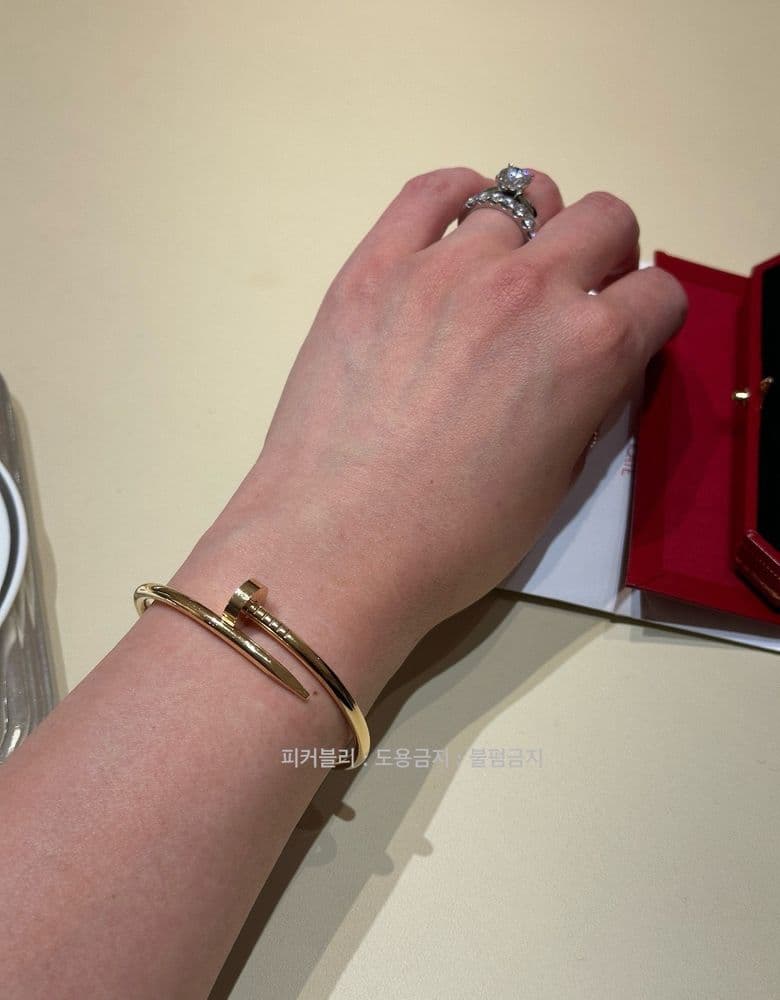 까르띠에 착샷 모음 최최종.jpg