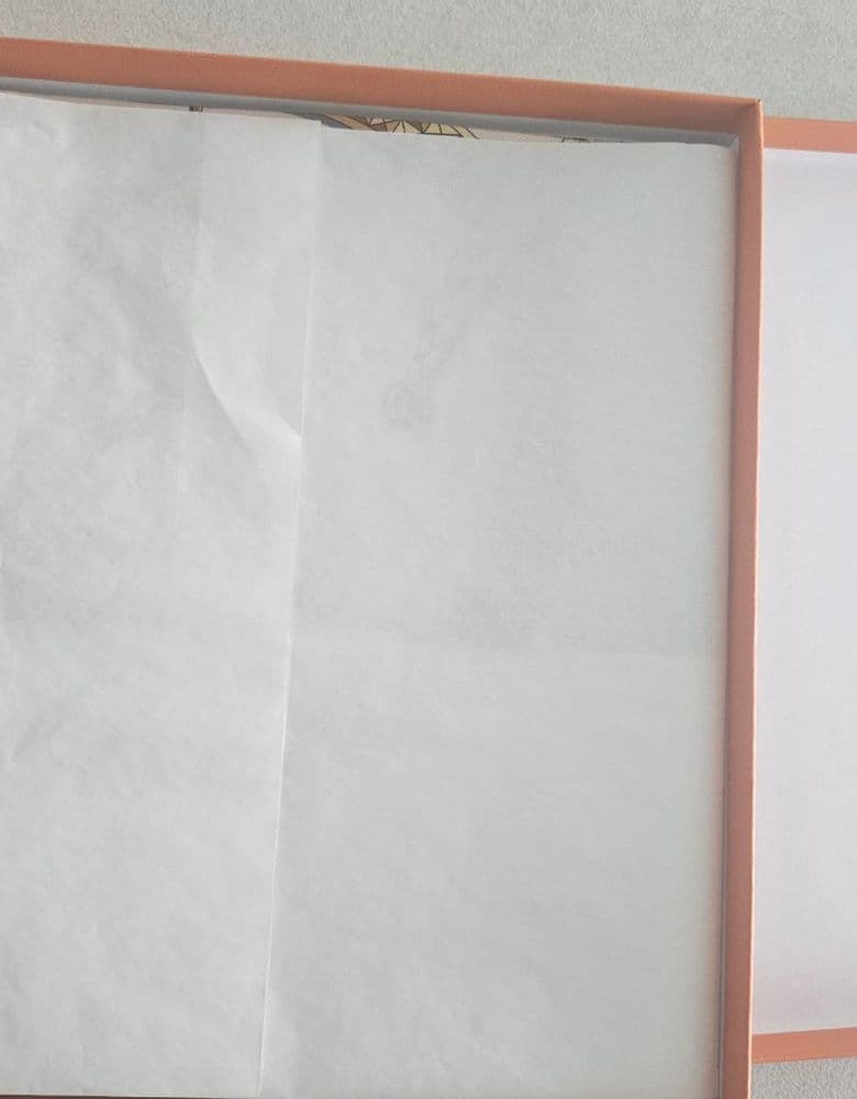 Hermès Carre Grand Apparat