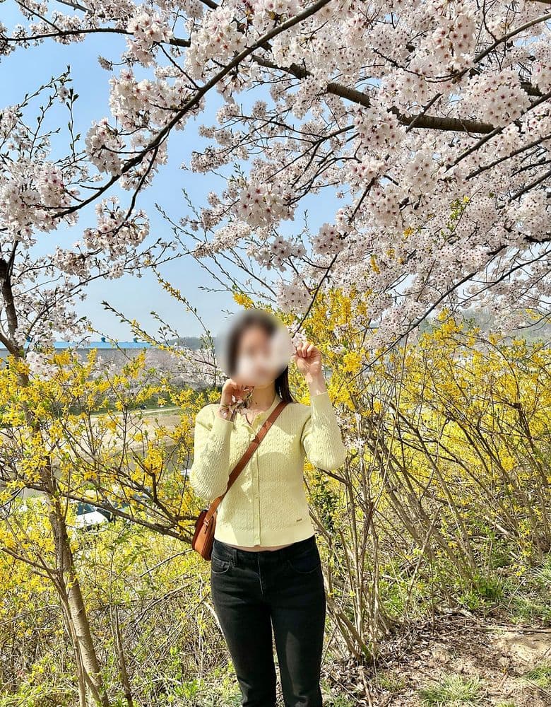 내돈내산 클래식 트리옹프백 - 트리옹프 캔버스 & 카프스킨