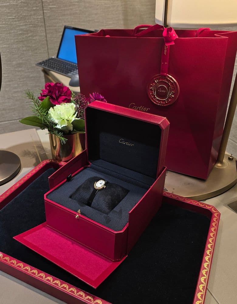 I brought a Venua Mini as a college entrance gift! ✨