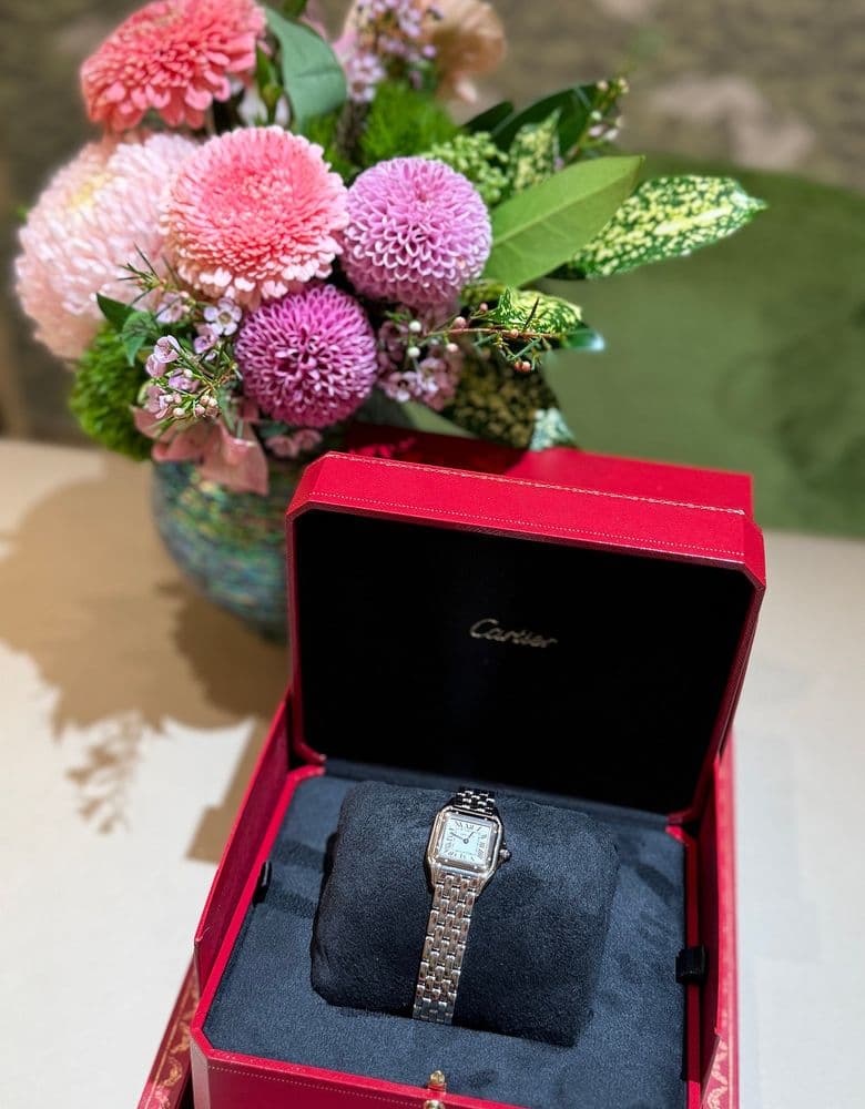 Cartier Panthère Steel