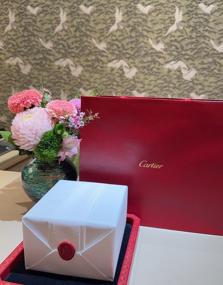 Cartier Panthère Steel