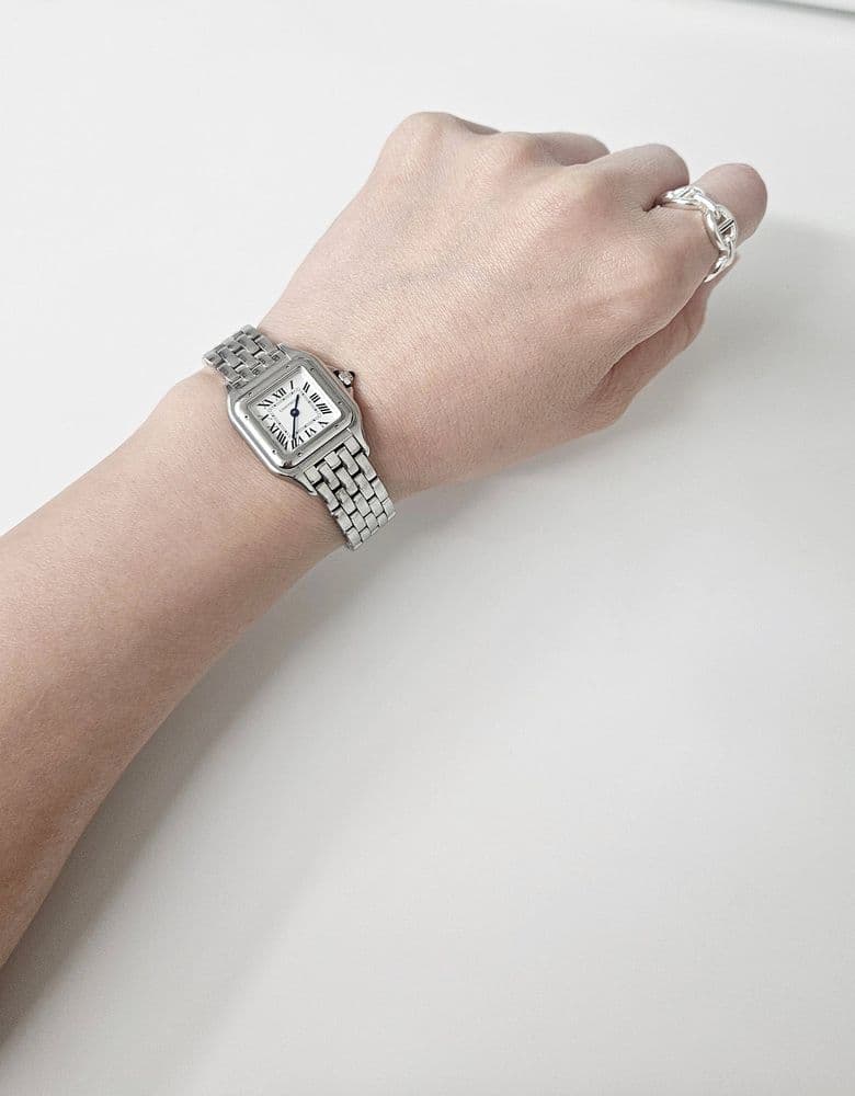 Cartier Panthère Steel, Clash de Cartier Ring, Hermès Chaine d'Ancre Ring