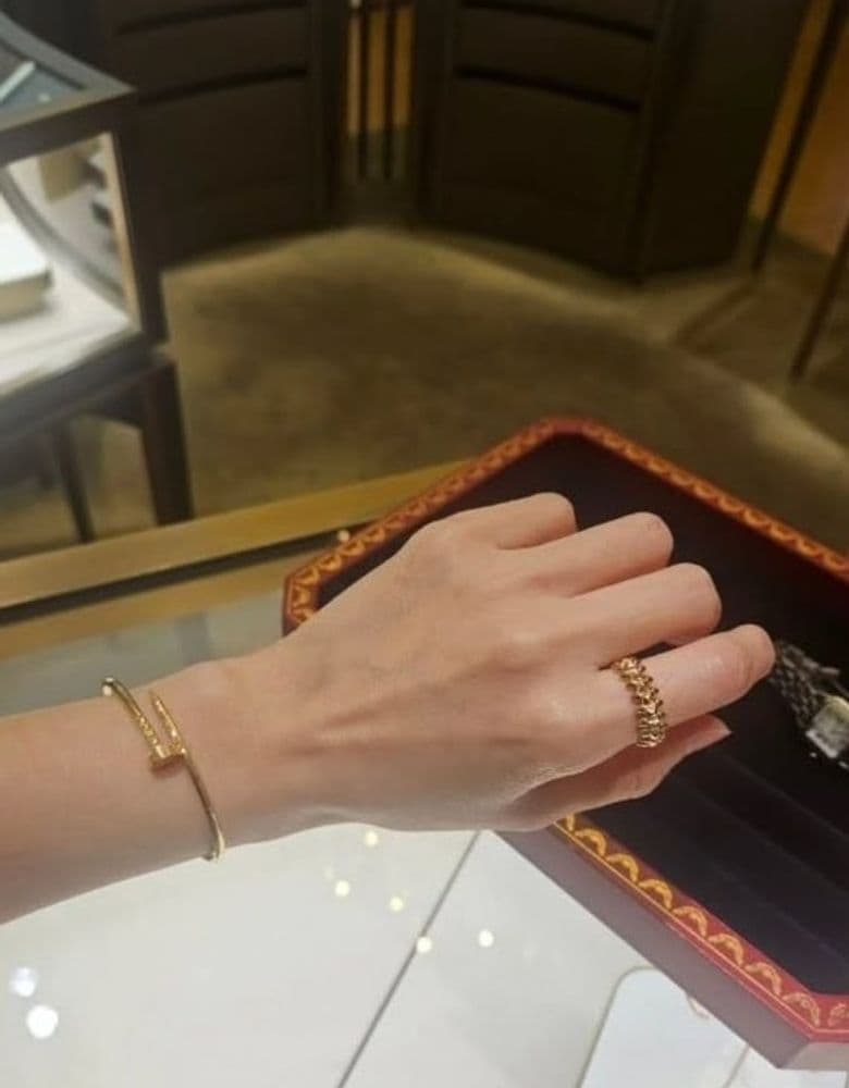 Cartier Panthère Steel, Clash de Cartier Ring, Hermès Chaine d'Ancre Ring