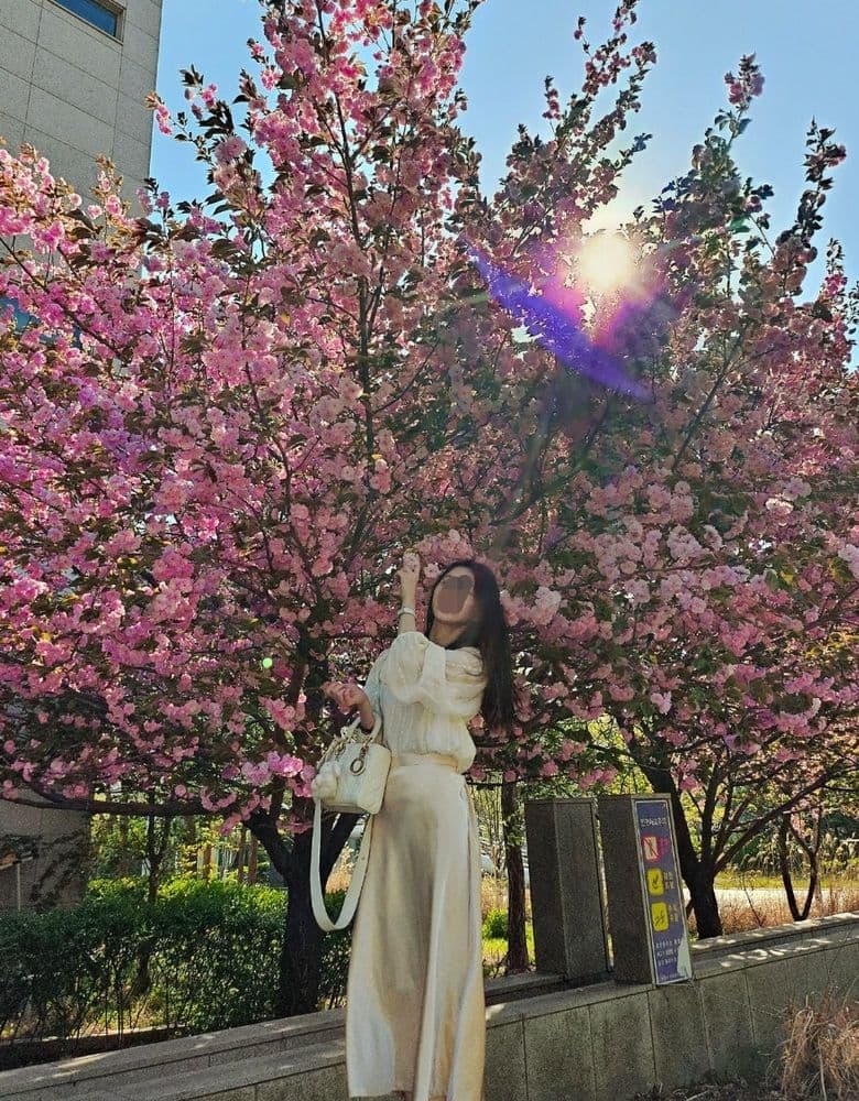 Dior Lady Bag, Hermès Picotin