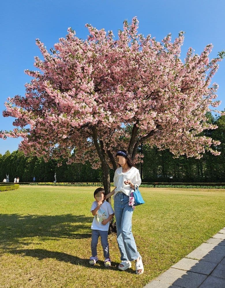 Dior Lady Bag, Hermès Picotin