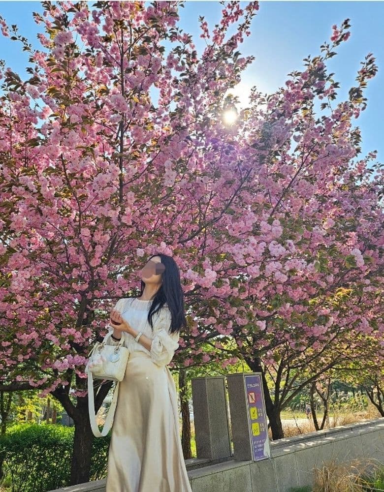 Dior Lady Bag, Hermès Picotin