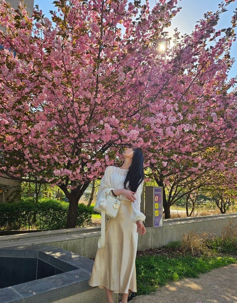 Dior Lady Bag, Hermès Picotin