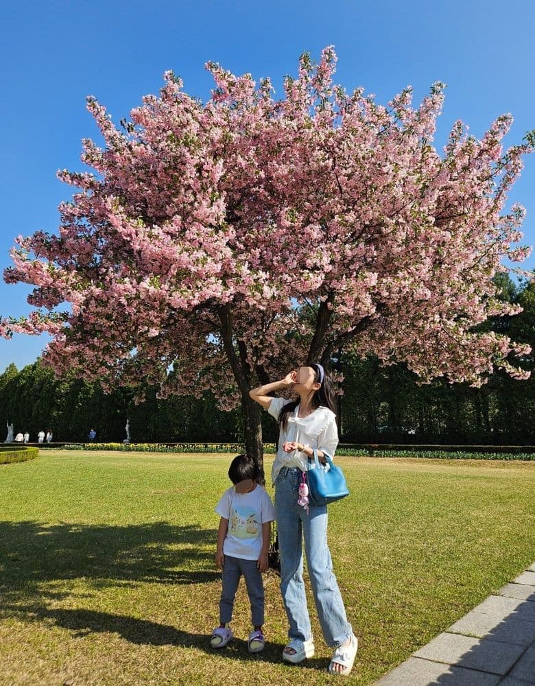 Dior Lady Bag, Hermès Picotin