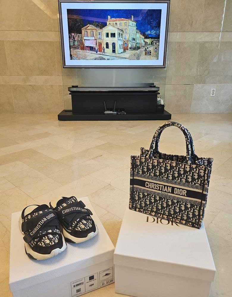 Dior Oblique Small Book Tote