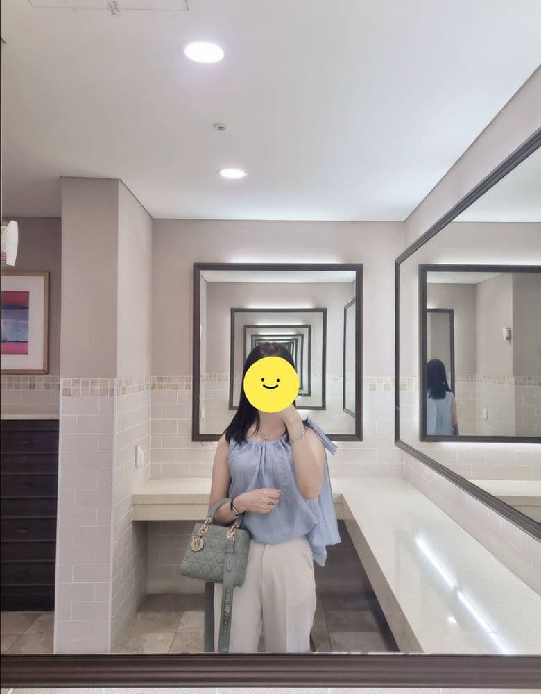 디올 레이디백 스톤그레이