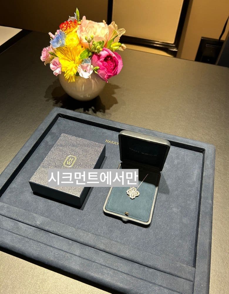 해리윈스턴 루프 목걸이