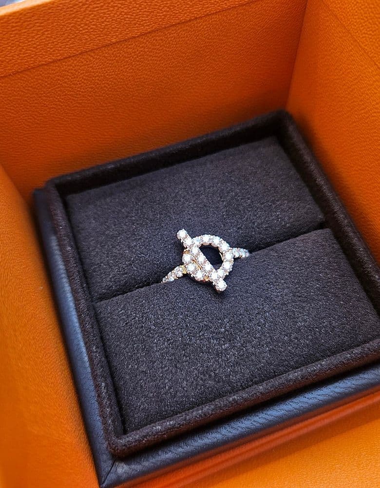 Bulgari Seduttori watch, Serpenti ring, Hermès loafers, Finesse, Bolide 25 Etoupe. Prada briefcase.