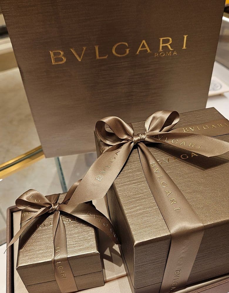 Bulgari Seduttori watch, Serpenti ring, Hermès loafers, Finesse, Bolide 25 Etoupe. Prada briefcase.