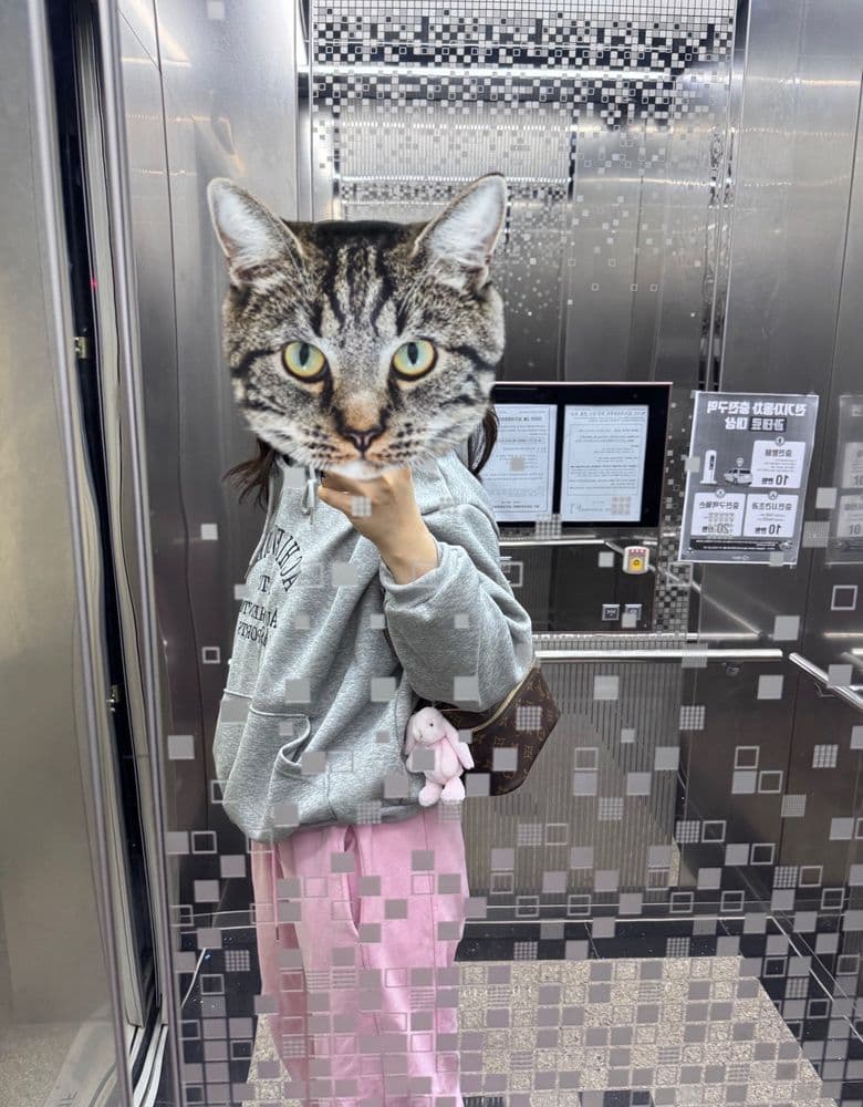 루이비통 니스 미니