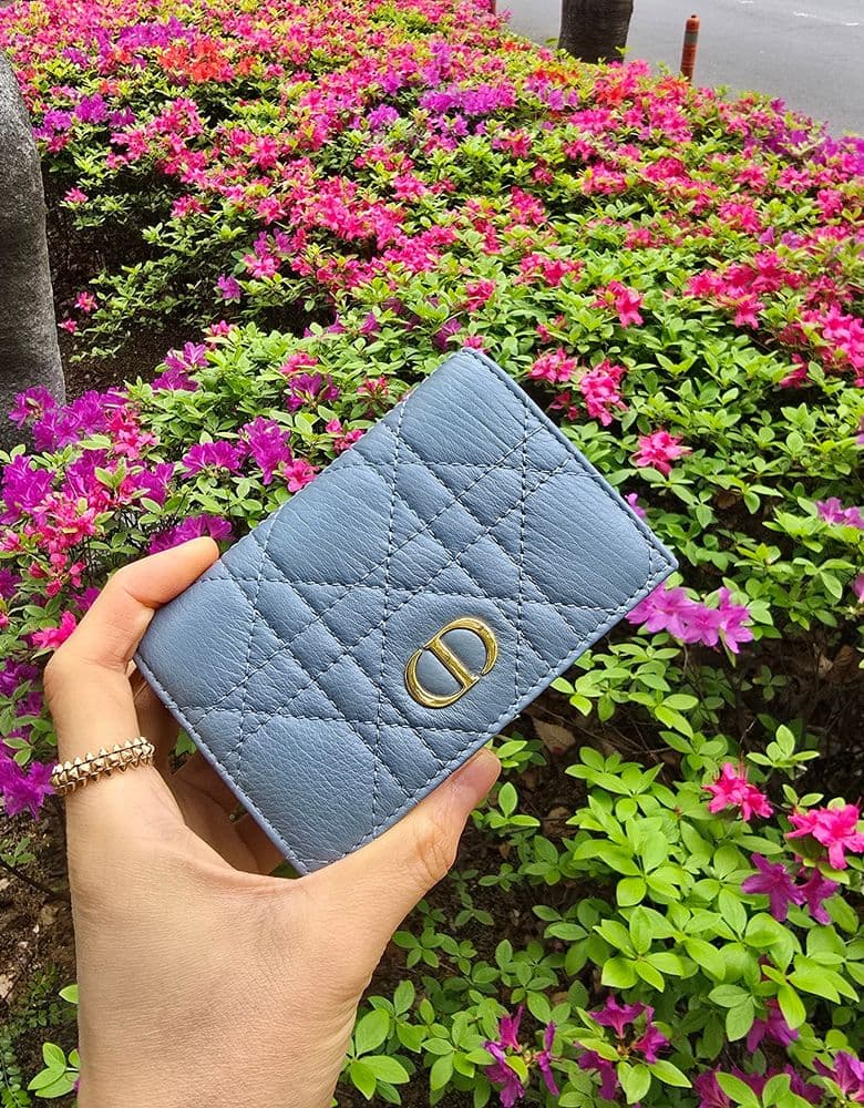 디올 카로 글리신 지갑 블루