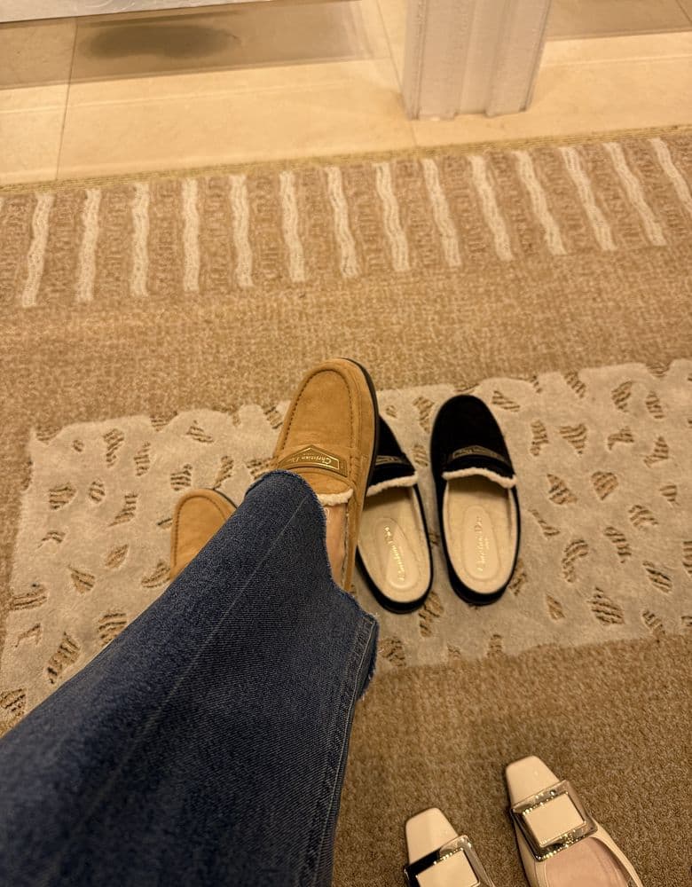 Dior Suede Mules
