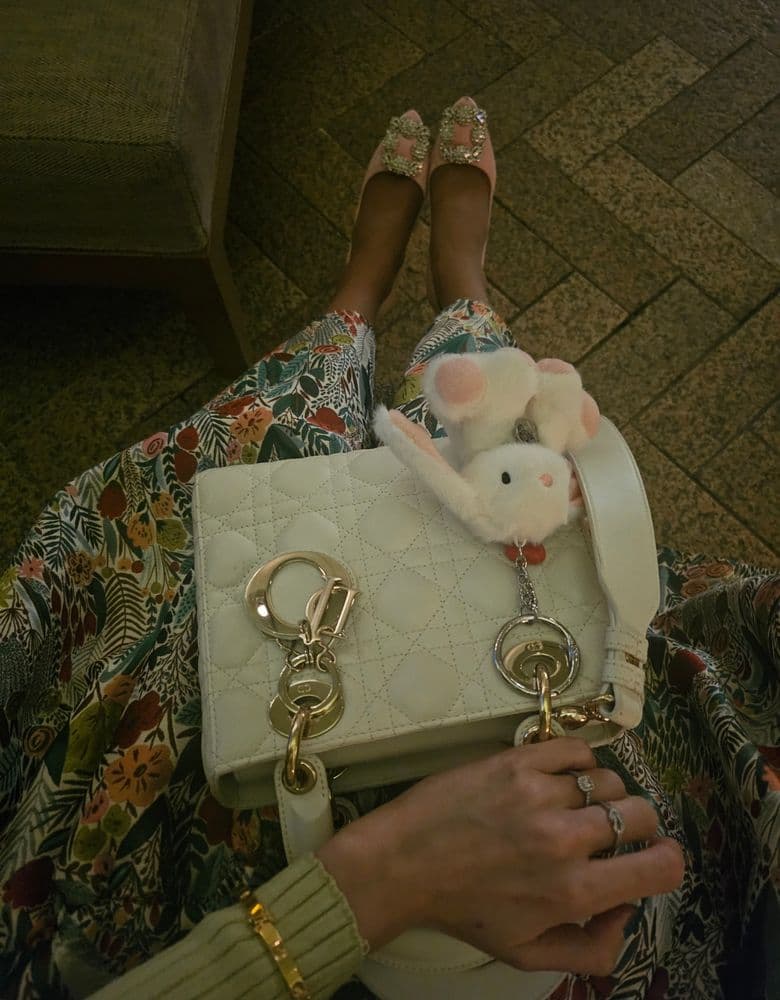 디올 레이디백, 마놀로볼라닉 구두 코디