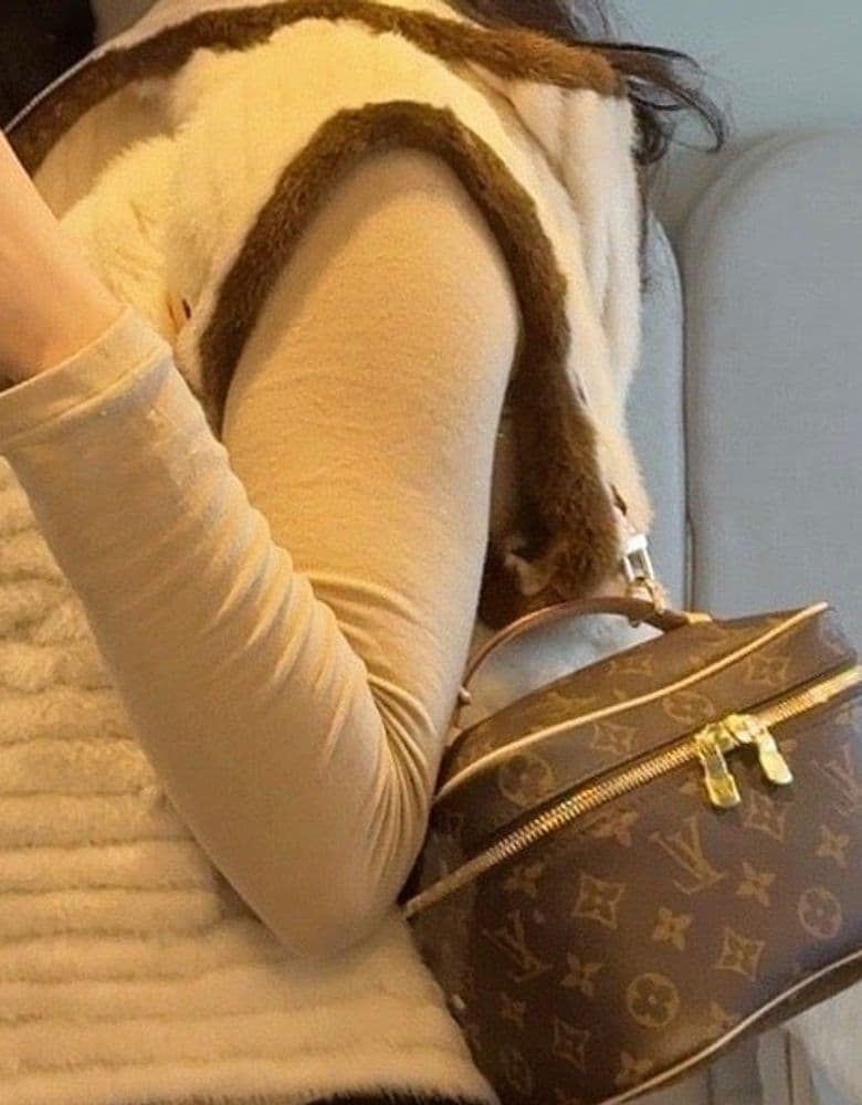 루이비통 니스 미니