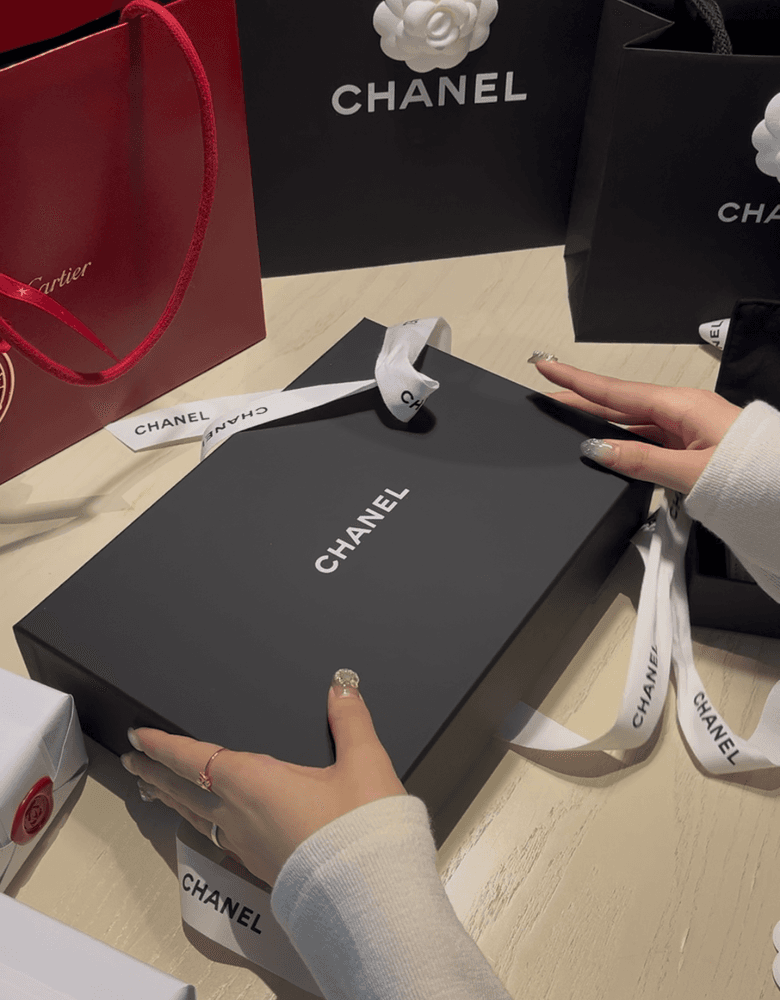 Chanel Classic Turn Lock WOC