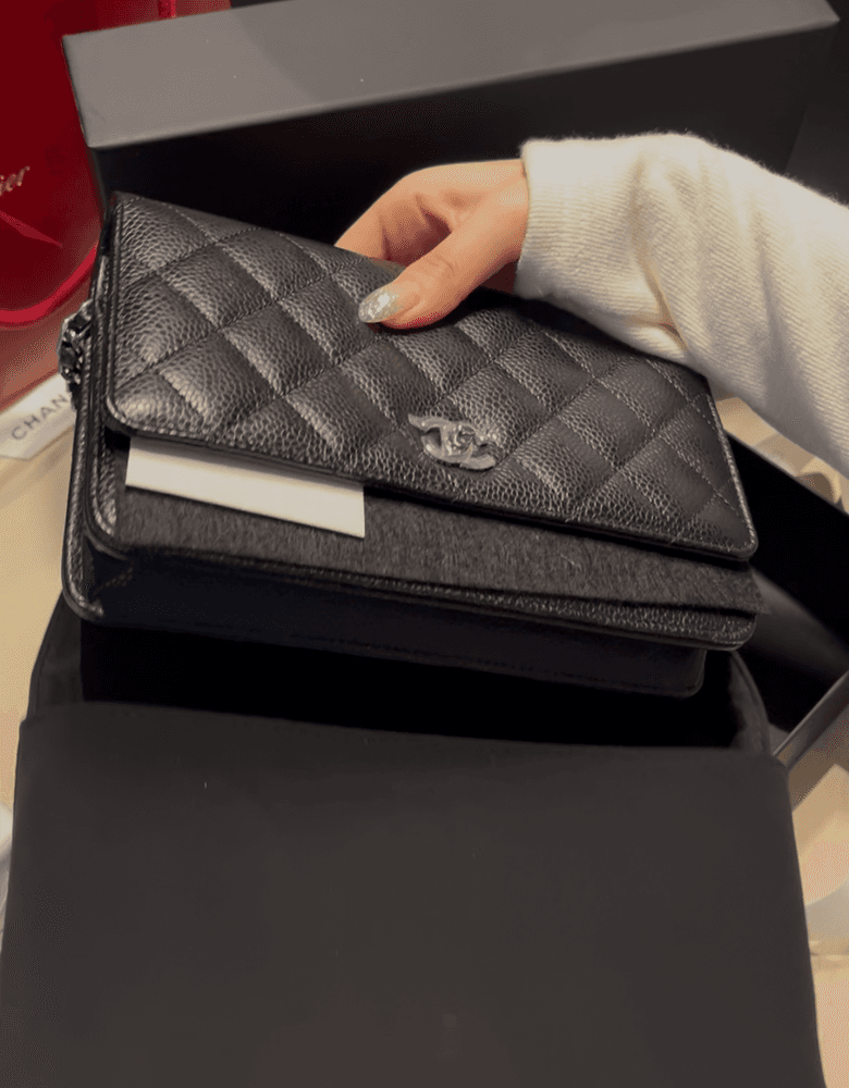 Chanel Classic Turn Lock WOC