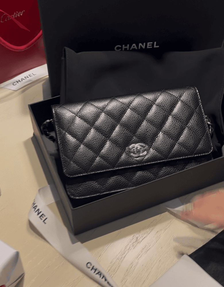 Chanel Classic Turn Lock WOC