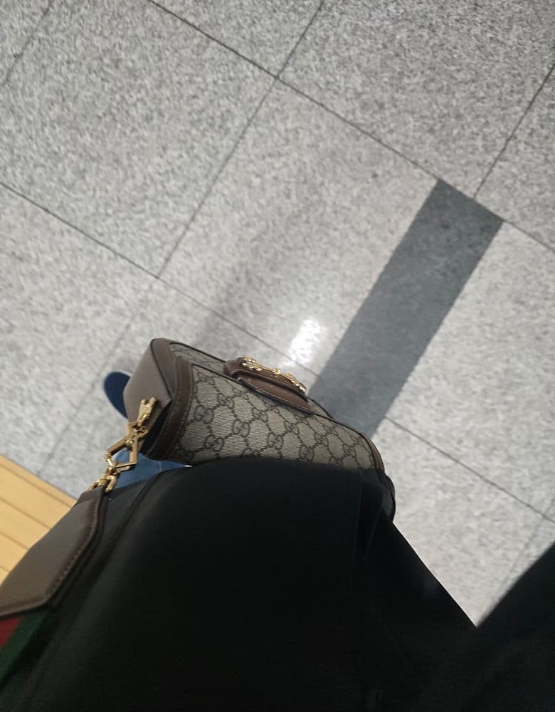 Gucci Horsebit mini, Tiffany necklace