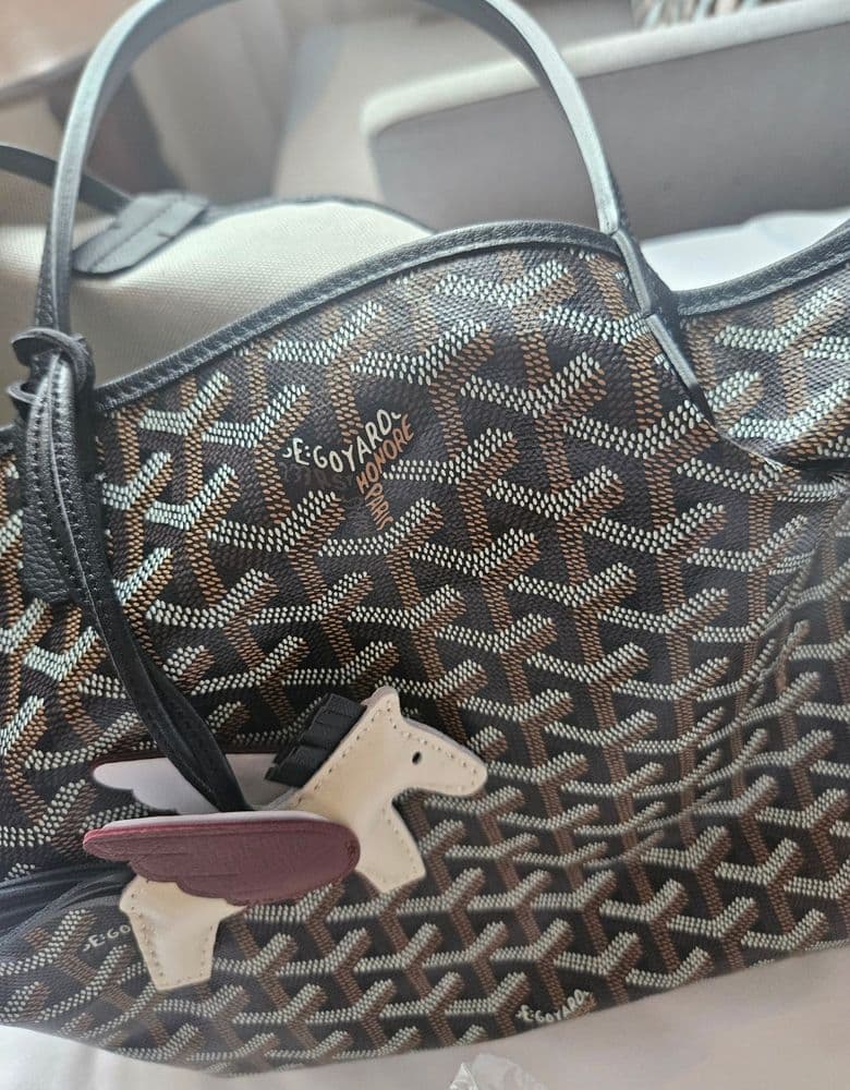 고야드 생루이백 블랙