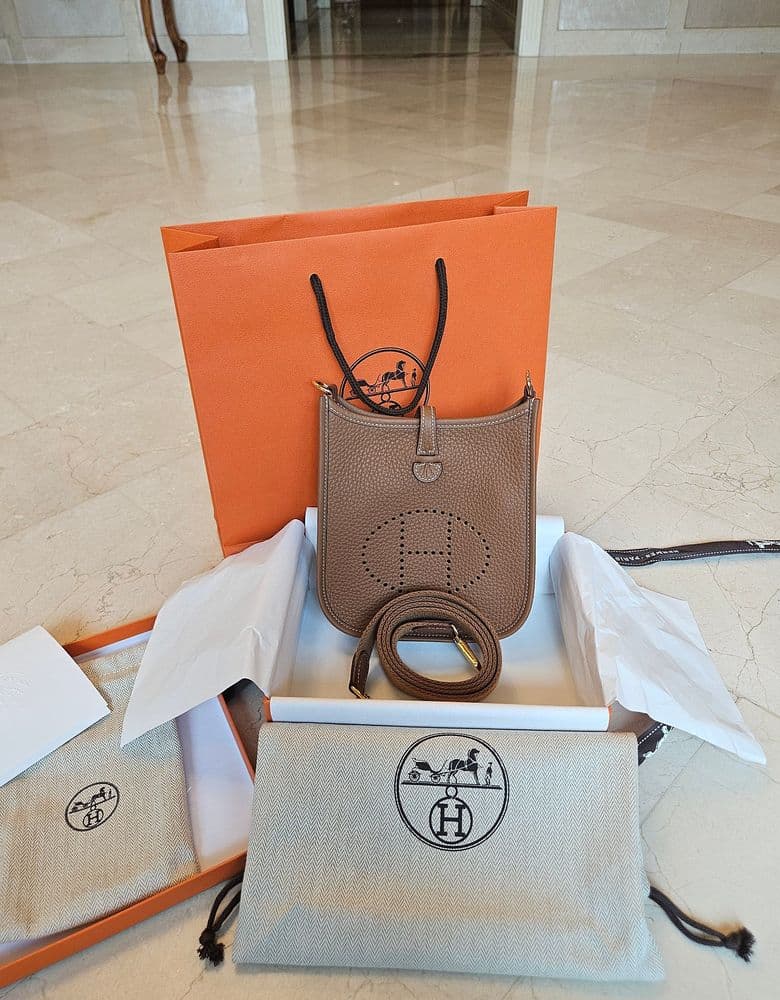 Hermès Mini Evelyne in Gold with Gold Hardware