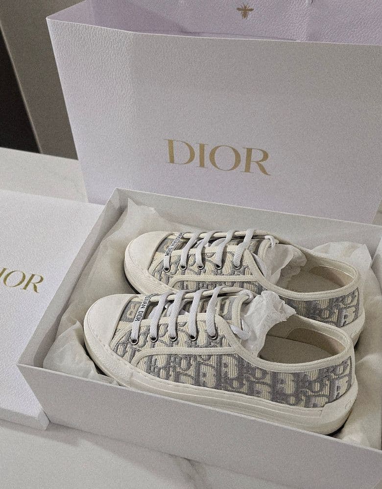 Dior Oblique Walk'n'Dior Platform Sneakers