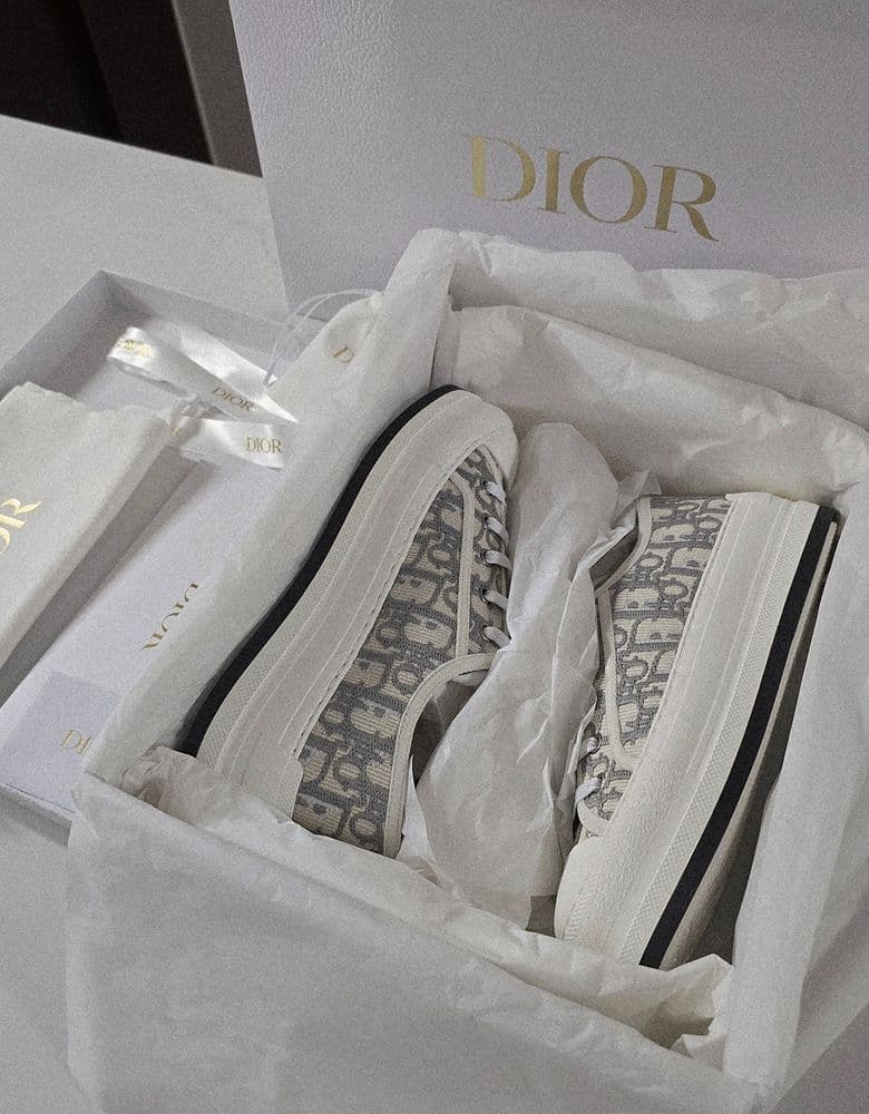 Dior Oblique Walk'n'Dior Platform Sneakers