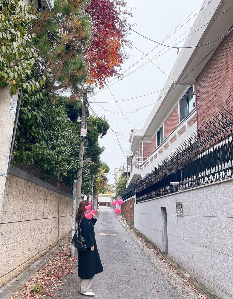 Chanel 22 Bag, black with gold hardware, medium size.