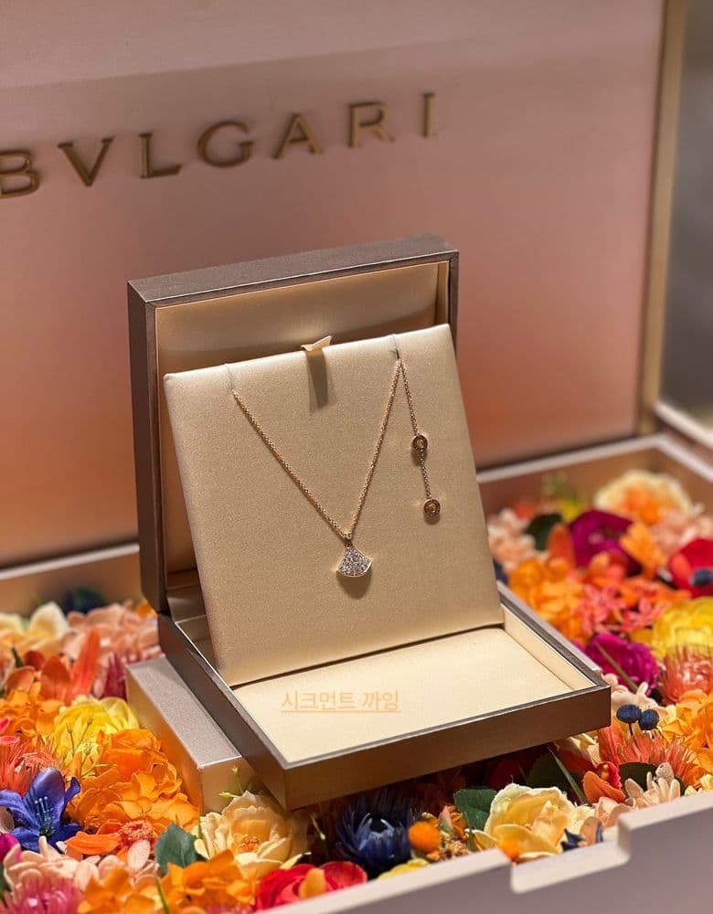 불가리 디바스드림 풀파베✨