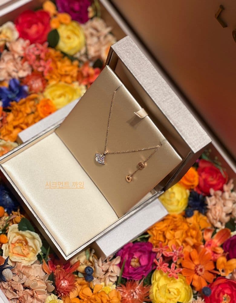 불가리 디바스드림 풀파베✨